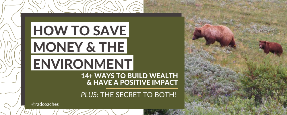 How to Save Money and the Environment - Bears in alpine meadow